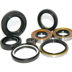 Oil Seals